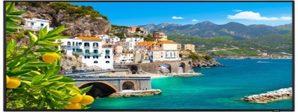 Vestel Dynamic Series Interactive Whiteboard