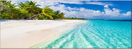 Vestel RNB series LCD Video Wall